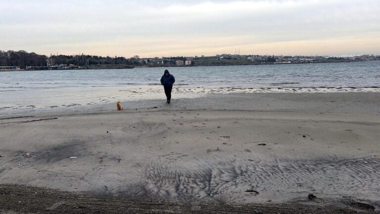 Tekirdağ’da deniz 50 metre çekildi