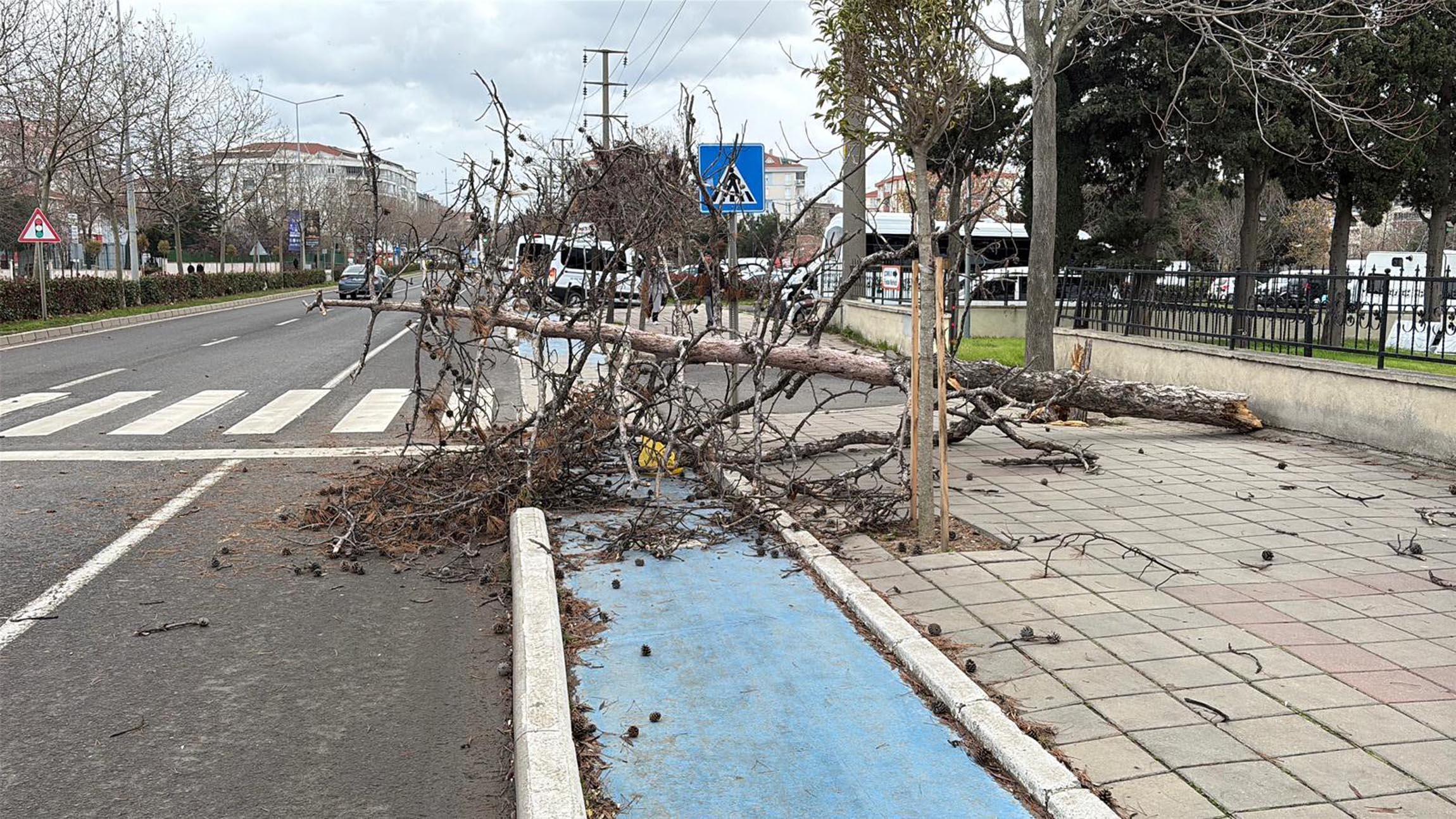 Tekirdağ’da fırtına; eğitim uçuşları iptal edildi, balıkçılar denize açılamadı_695f77beb1607.jpeg