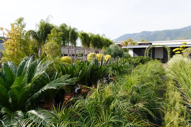Verdeon Garden ile Akdeniz’in Doğasını Yaşam Alanlarınıza Taşıyın – Peyzaj Alanya, Antalya ve Manavgat Hizmetleri