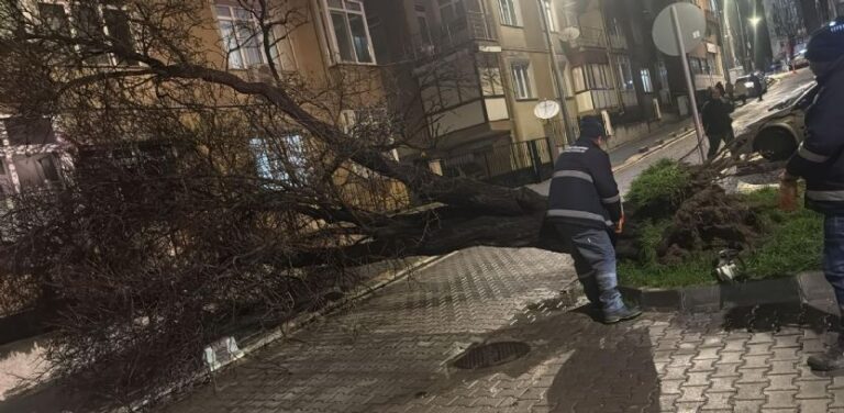 Çorlu Belediyesi Fırtınaya Karşı Teyakkuza Geçti
