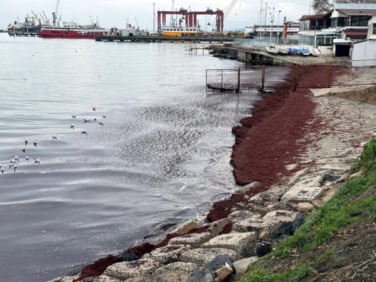 Tekirdağ’da deniz kıyıları kırmızı renge büründü