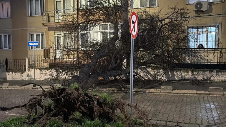 Tekirdağ’da fırtına; çatılar uçtu, ağaçlar devrildi / Ek fotoğraflar