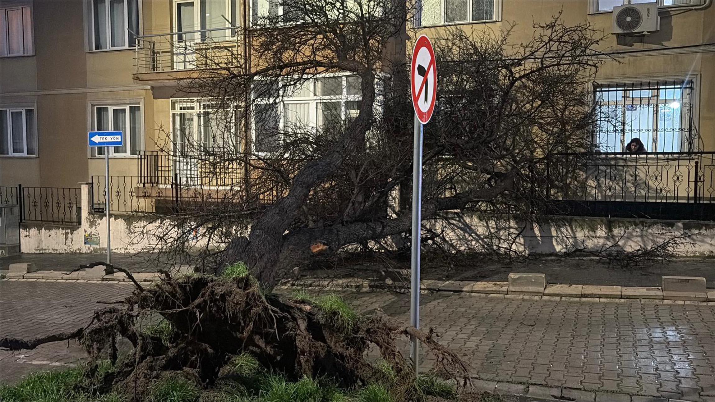 Tekirdağ’da fırtına; çatılar uçtu, ağaçlar devrildi / Ek fotoğraflar Tekirdağ’da fırtına; çatılar uçtu, ağaçlar devrildi / Ek fotoğraflar