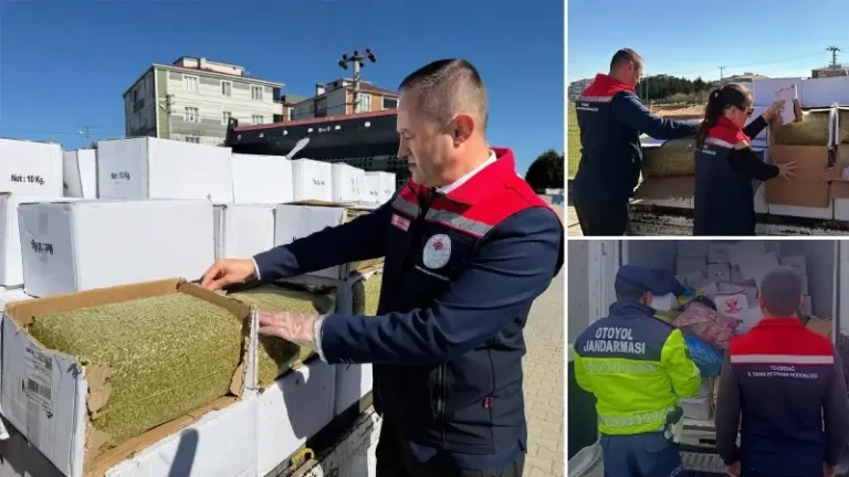 Ucuz Diye Kanserojen Baklava Yedireceklerdi: 2 Ton Aflatoksinli Fıstık Ele Geçirildi