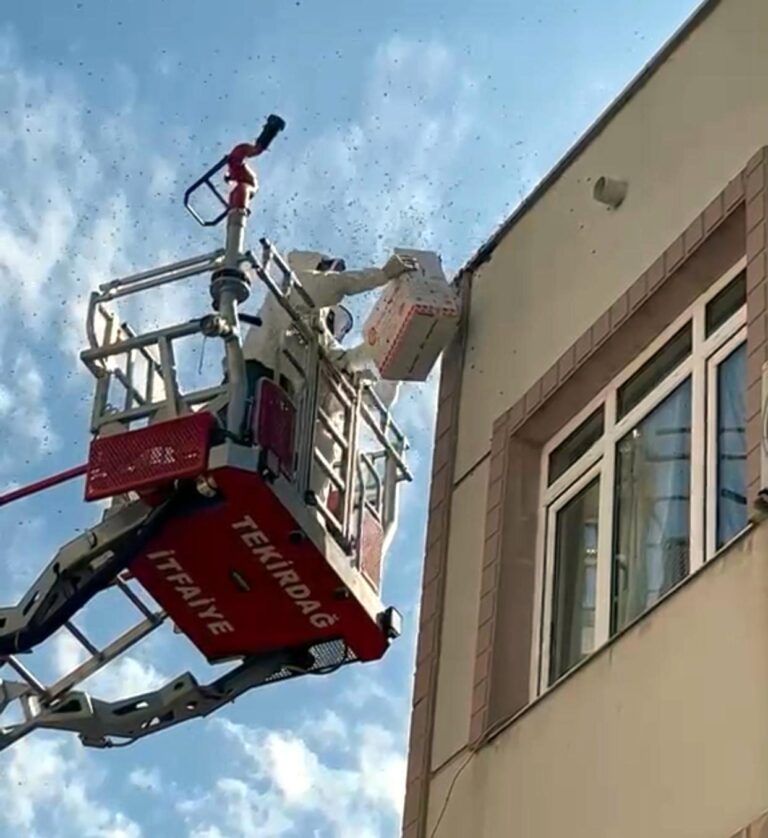 Oğul veren bal arıları nedeniyle yaya ve araç trafiği durdu