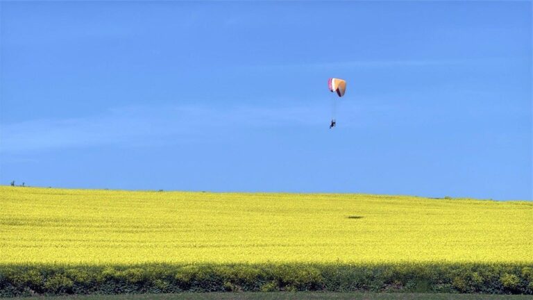 Sarı renge bürünen kanola tarlası üzerinde paramotorla uçtu