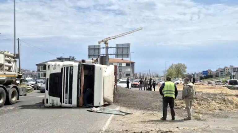 Ayçiçeği Yüklü TIR Devrildi