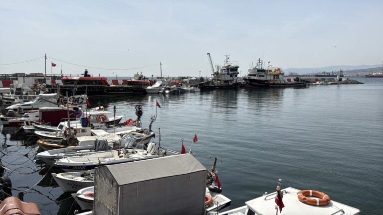 Tekirdağ’da balıkçılar, sezondan memnun