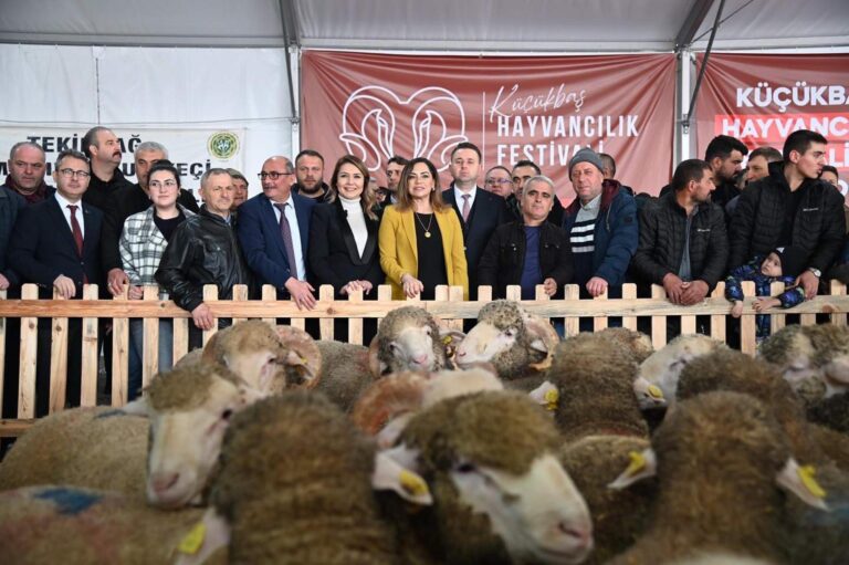 Tekirdağ’da ‘Küçükbaş Hayvancılık Festivali’ başladı