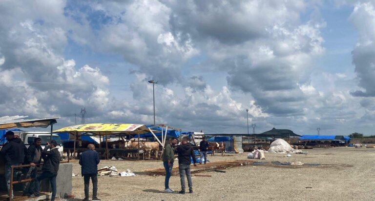 Çerkezköy’de hayvan pazarında taşlı-sopalı kavga; 2 yaralı