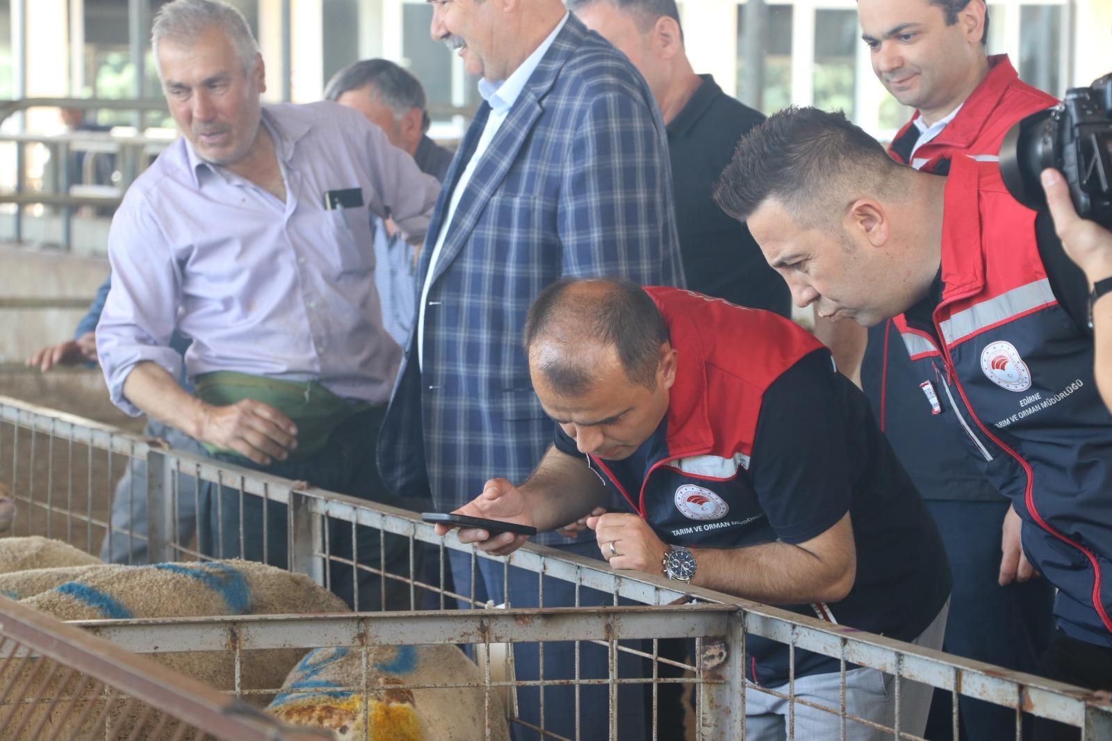 Edirne’de kurbanlık satış alanlarında denetim Edirne’de kurbanlık satış alanlarında denetim
