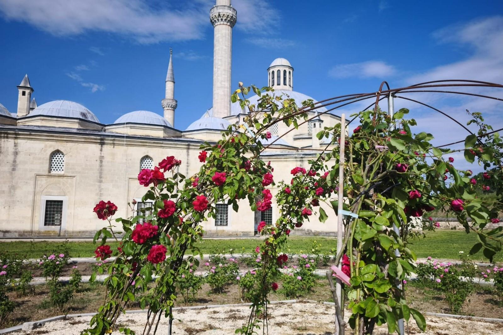 Edirne’de, Sultan 2’nci Bayezid Külliyesi’nde gül bahçesi oluşturuluyor Edirne’de, Sultan 2’nci Bayezid Külliyesi’nde gül bahçesi oluşturuluyor