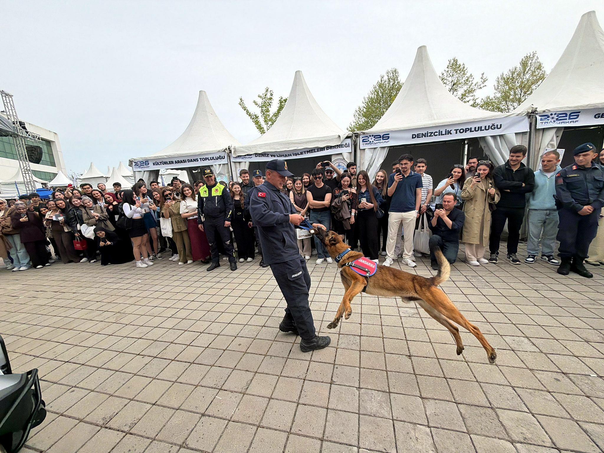 Jandarmanın arama-kurtarma köpeği Çınar’ın son gösterisi, ilgiyle izlendi Jandarmanın arama-kurtarma köpeği Çınar’ın son gösterisi, ilgiyle izlendi