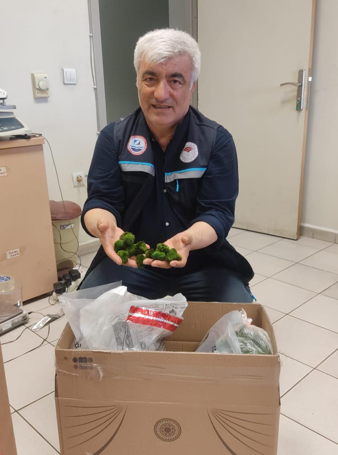 Kapıkule’de yolcu otobüsünde 2 bin 125 canlı yeşil alg ele geçirildi Kapıkule’de yolcu otobüsünde 2 bin 125 canlı yeşil alg ele geçirildi