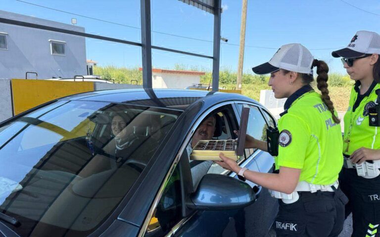 Polisten Trafik Denetimi