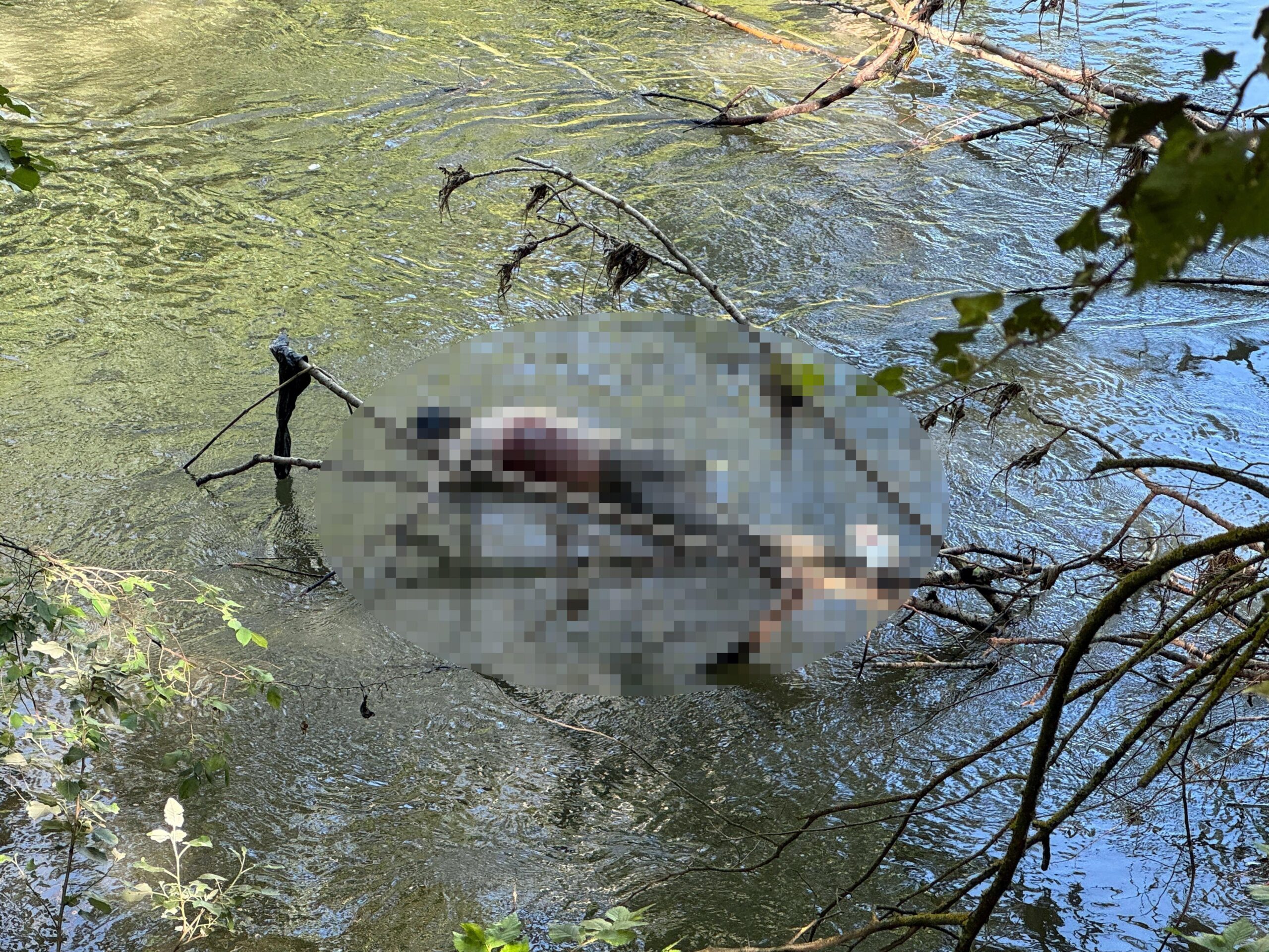 Tunca Nehri’nde erkek cesedi bulundu Tunca Nehri’nde erkek cesedi bulundu