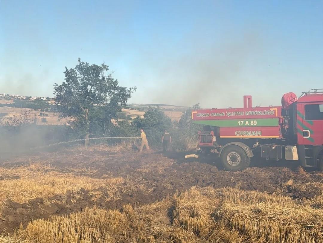 Edirne’de 2 dekar buğday ekili alan yandı Edirne’de 2 dekar buğday ekili alan yandı