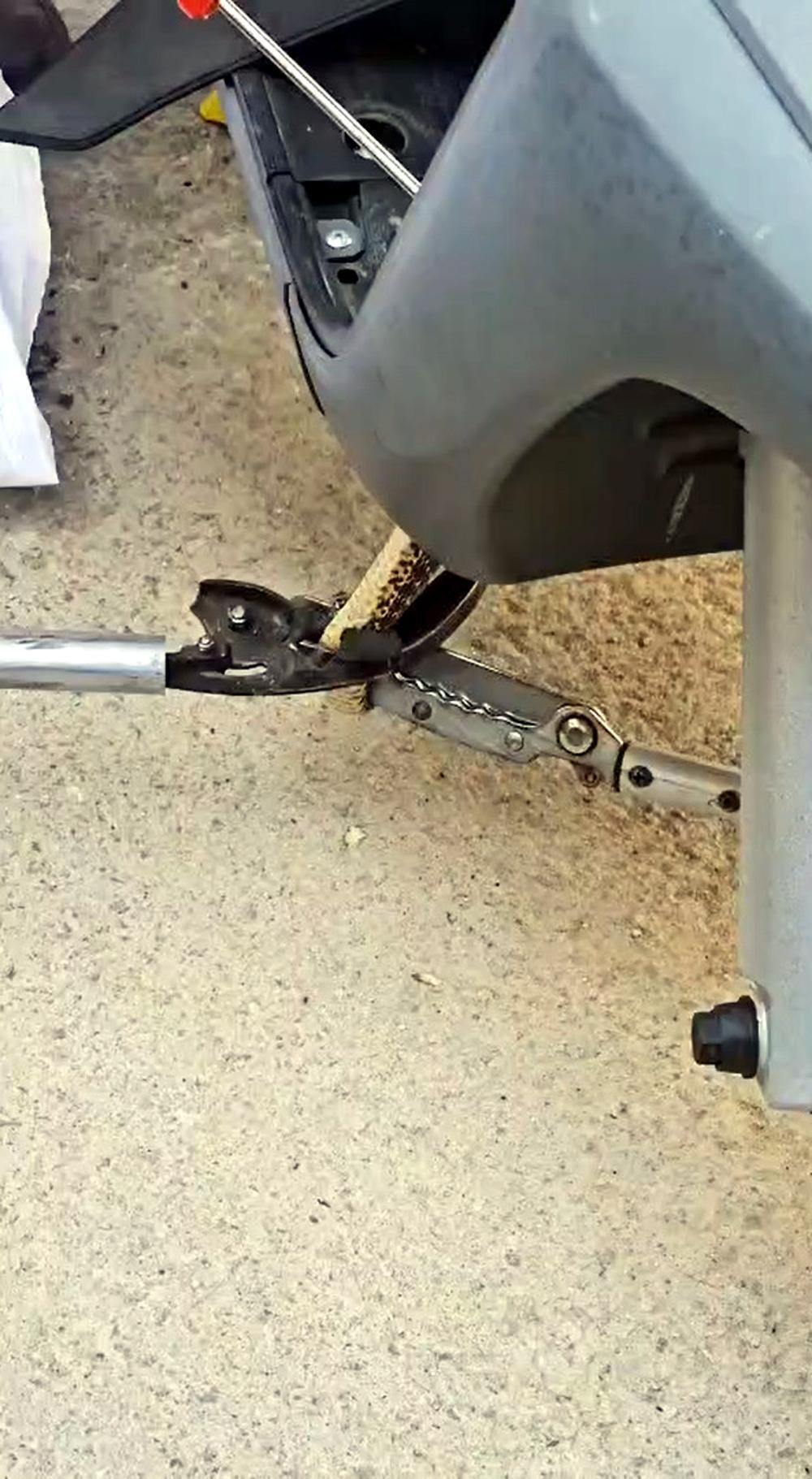 Edirne’de motosiklet kaportasına giren yılan kurtarılıp, doğaya salındı Edirne’de motosiklet kaportasına giren yılan kurtarılıp, doğaya salındı