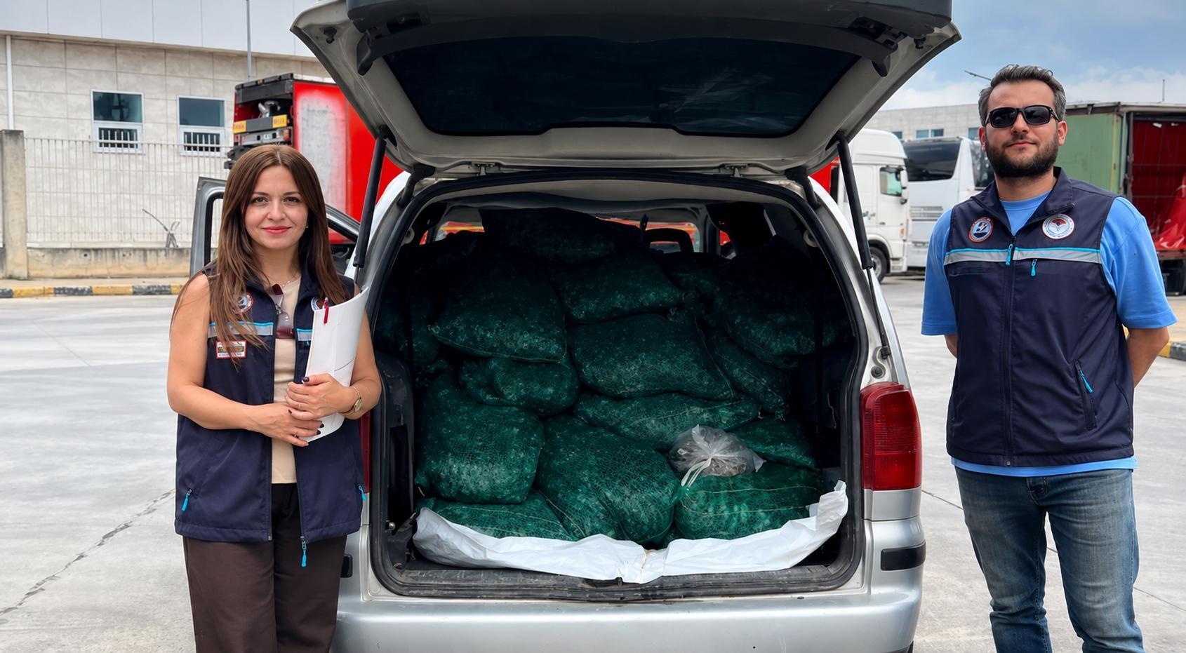 Kapıkule’de 840 kilogram canlı kum midyesi ele geçirildi Kapıkule’de 840 kilogram canlı kum midyesi ele geçirildi