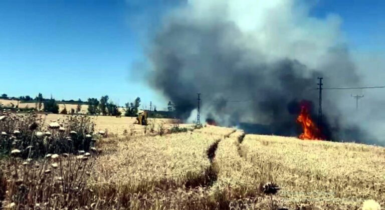 Tekirdağ’da 50 dekar ekili buğday yandı