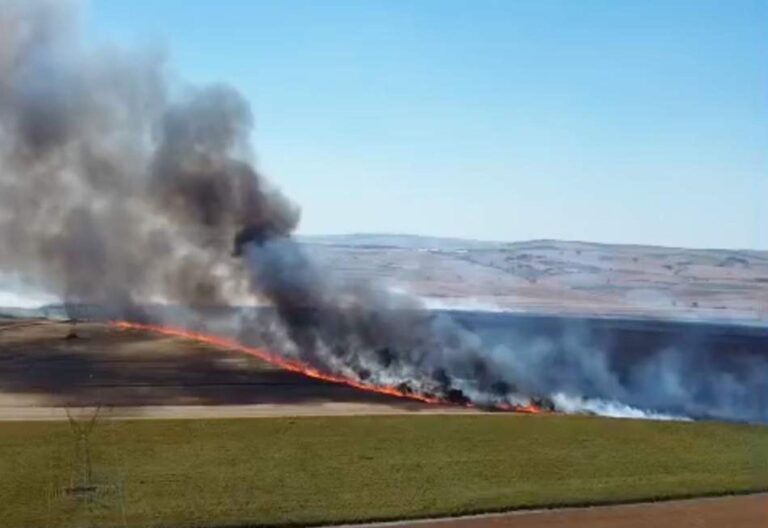 Tekirdağ’da yangında 300 dekar tarım alanı zarar gördü