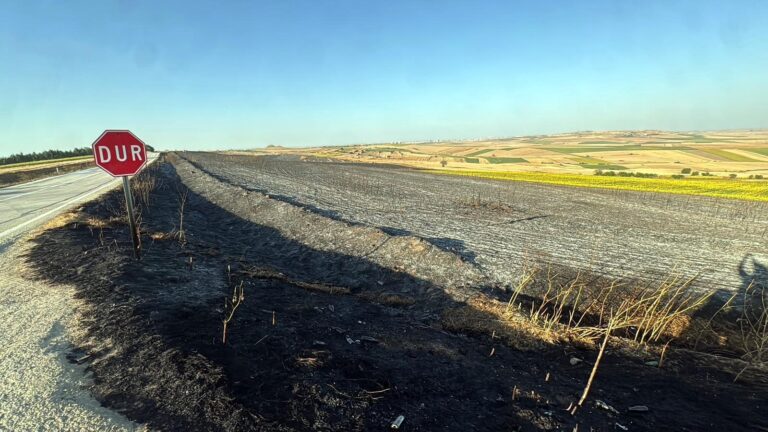 Tekirdağ’da yangında 350 dönüm buğday ekili alan zarar gördü