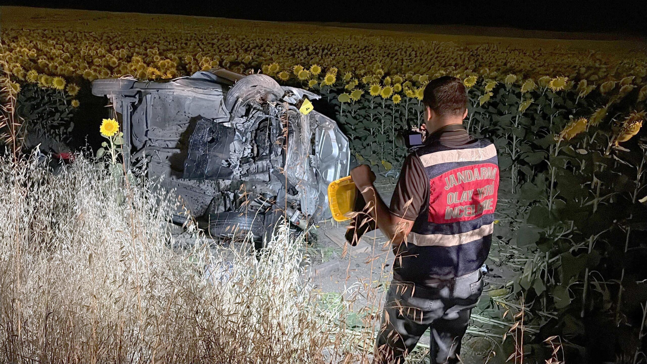 Ayçiçeği tarlasına devrilen otomobilde 5 kişi yaralandı Ayçiçeği tarlasına devrilen otomobilde 5 kişi yaralandı