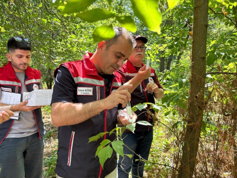 Edirne’de ‘kahverengi kokarca’ya karşı doğaya 728 ‘samuray arıcığı’ salındı