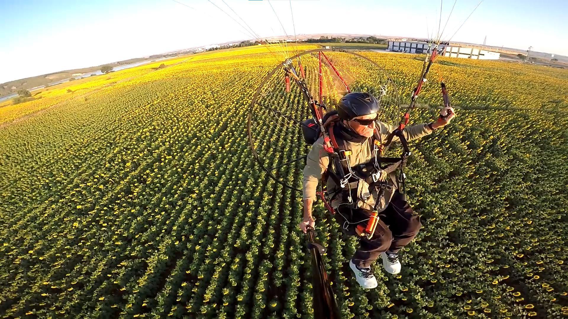 Edirne’nin ‘sarı gelin’i ayçiçeği tarlaları üzerinde paramotorla uçtu Edirne’nin ‘sarı gelin’i ayçiçeği tarlaları üzerinde paramotorla uçtu