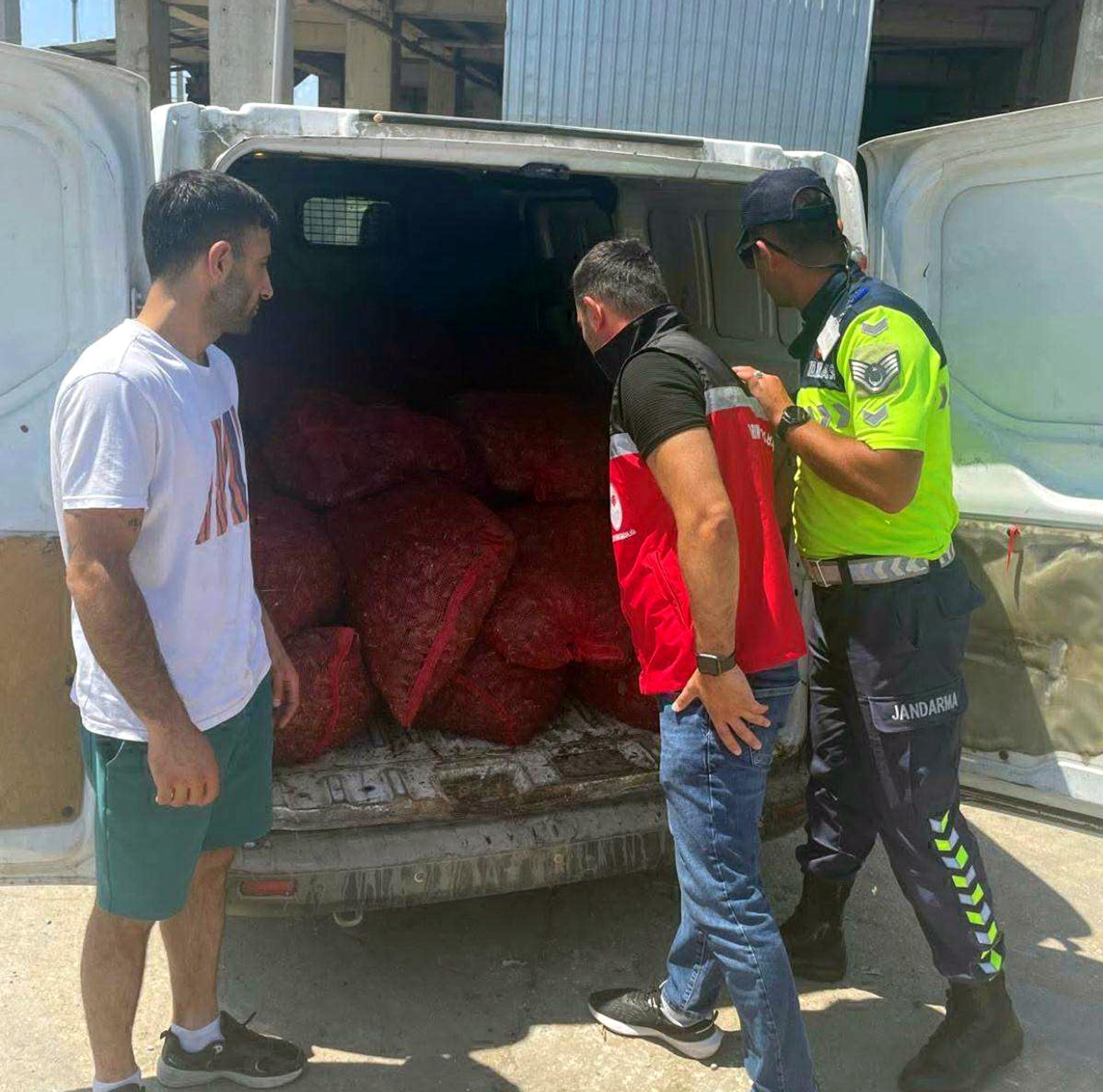Malkara’da 700 kilo kaçak midye ele geçirildi Malkara’da 700 kilo kaçak midye ele geçirildi