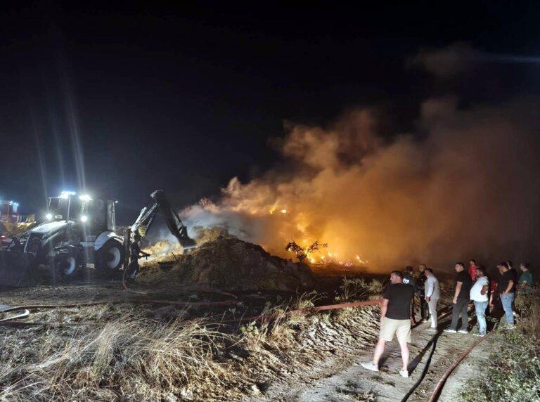 Tekirdağ’da 5 bin saman balyası yandı
