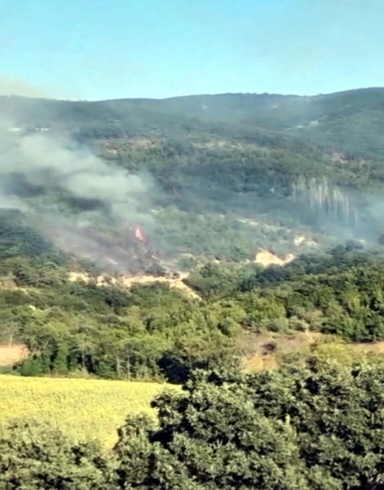 Tekirdağ’da anız yangını ormana sıçradı, 3 saatte kontrol altına alındı