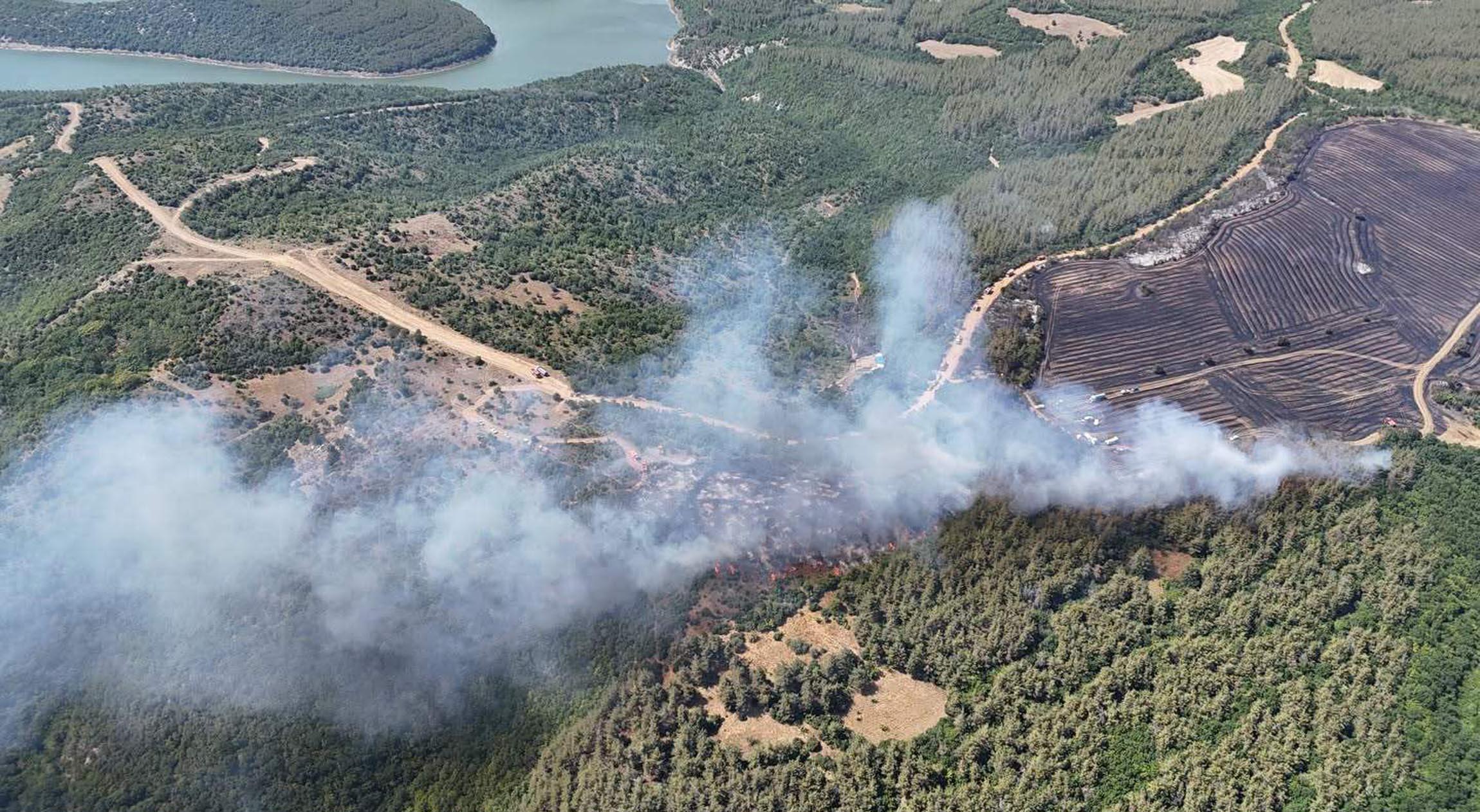 Anız Yangınında Alevler, Ormana Sıçradı Anız Yangınında Alevler, Ormana Sıçradı