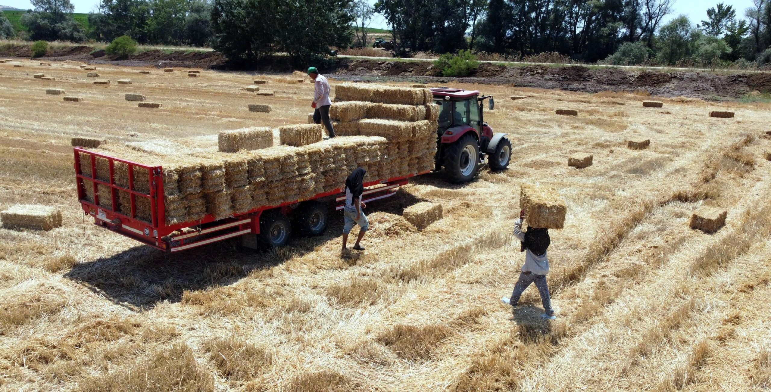 Tekirdağ’da balya bağlama ile açık alanda ateş yakılması yasaklandı Tekirdağ’da balya bağlama ile açık alanda ateş yakılması yasaklandı