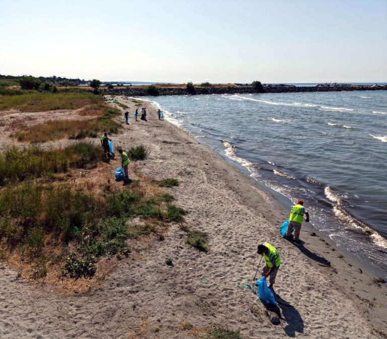 Tekirdağ’da kıyı temizliği etkinliği