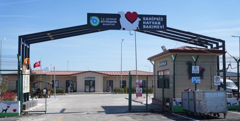 Tekirdağ’da sahipsiz 5 bini aşkın hayvana bakım ve tedavi uygulandı