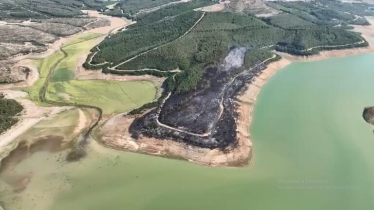 Tekirdağ’da yangında 80 dekar orman zarar gördü