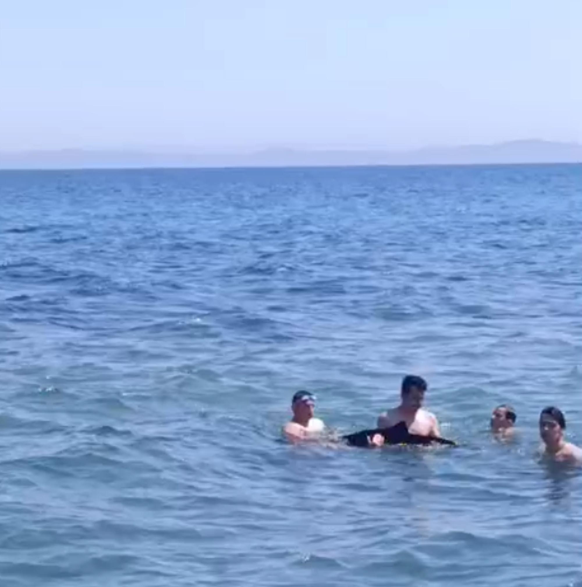 Tekirdağ’da yavru yunus yüzenlerin yanına geldi Tekirdağ’da yavru yunus yüzenlerin yanına geldi