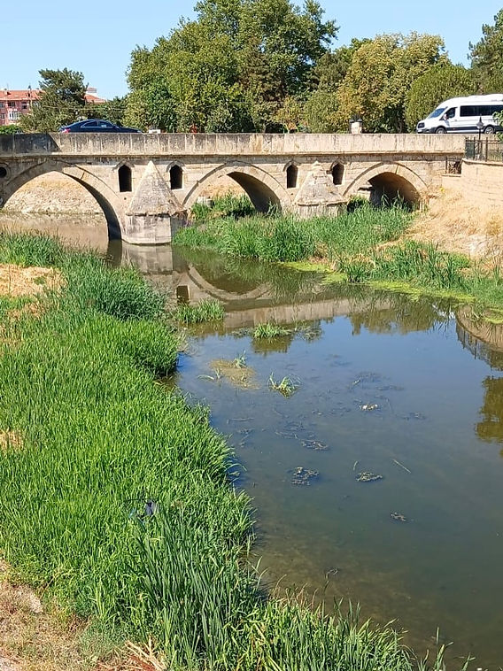 Evladını Kaybeden Anne Aynı Dereye Atladı