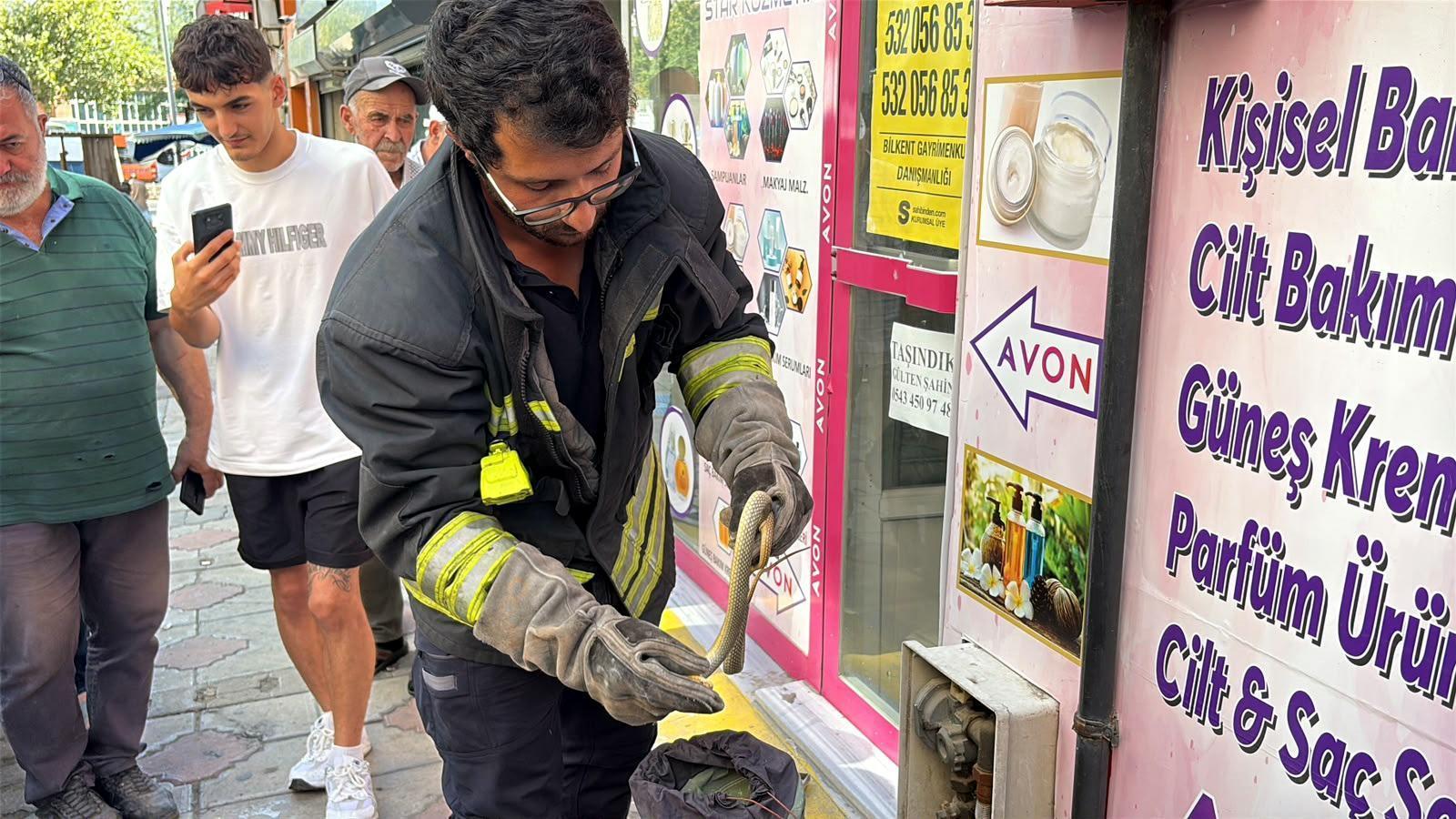 Doğalgaz kutusuna giren yılanı itfaiye ekipleri çıkardı Doğalgaz kutusuna giren yılanı itfaiye ekipleri çıkardı