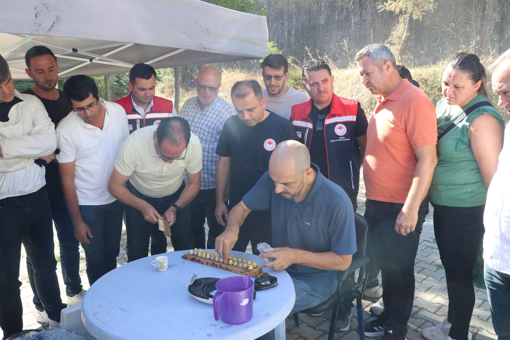 Edirne’de ana arı yetiştiriciliği eğitiminde ‘uygulamalı larva transferi’ yapıldı Edirne’de ana arı yetiştiriciliği eğitiminde ‘uygulamalı larva transferi’ yapıldı