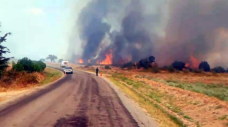 Edirne’de anız yangını ormana sıçradı; havadan ve karadan müdahale sürüyor