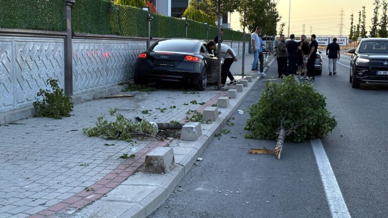 Kontrolden Çıkan Otomobil, Kaldırımdaki Ağaca ve Duvara Çarptı