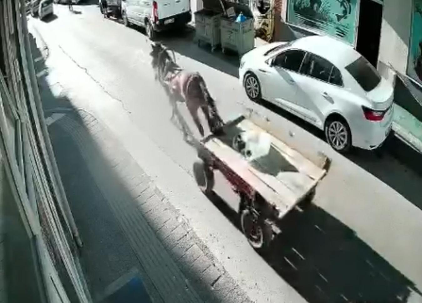 Sürücüsüz at arabası, otomobile çarptı; o anlar kamerada Sürücüsüz at arabası, otomobile çarptı; o anlar kamerada