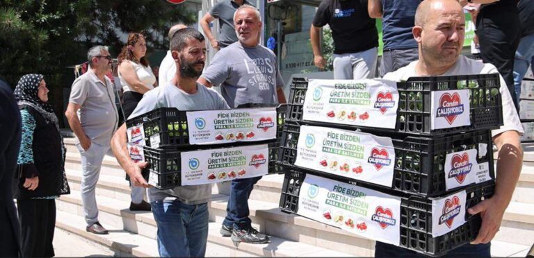 Tekirdağ Büyükşehir Belediyesi’nden kışlık sebze üretimine destek