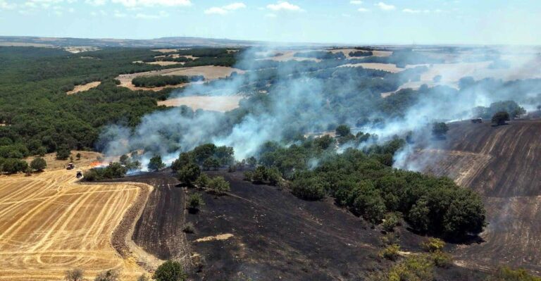 Tekirdağ’da itfaiye 7 ayda 8 bin 157 olaya müdahale etti