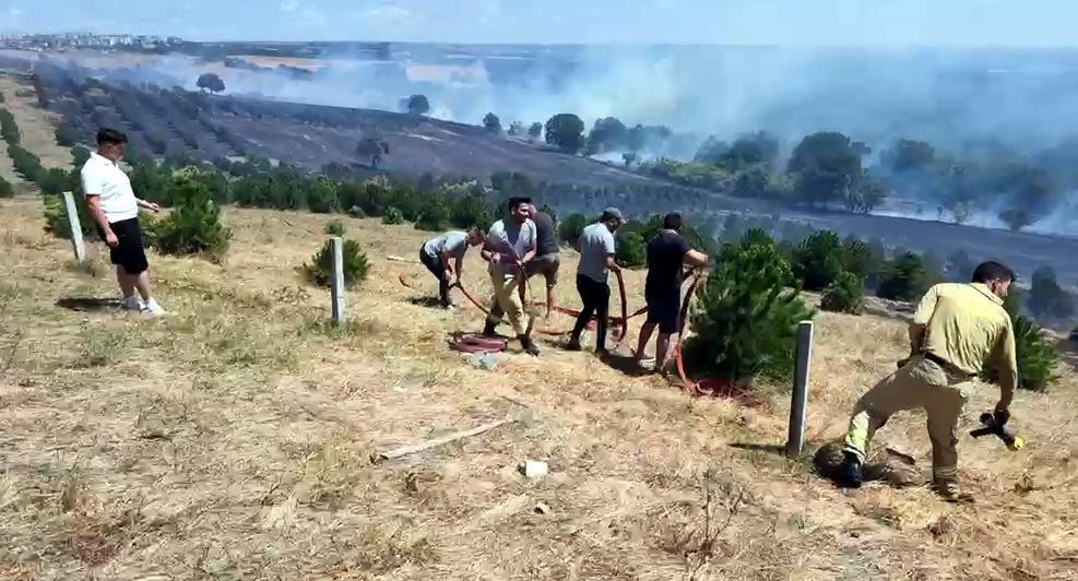 Tekirdağ’da yangın; 100 dekar alan zarar gördü Tekirdağ’da yangın; 100 dekar alan zarar gördü