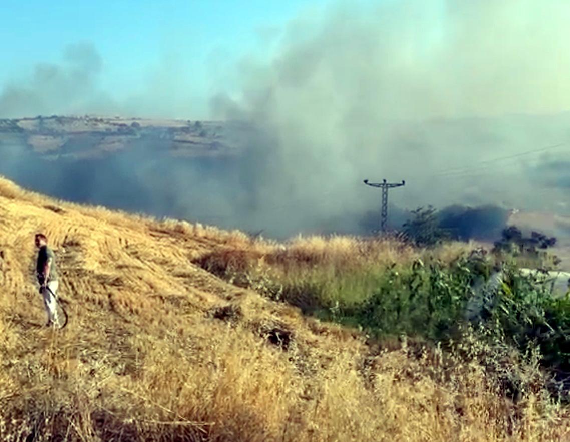 Tekirdağ’da yangında, 80 dekar alan zarar gördü Tekirdağ’da yangında, 80 dekar alan zarar gördü