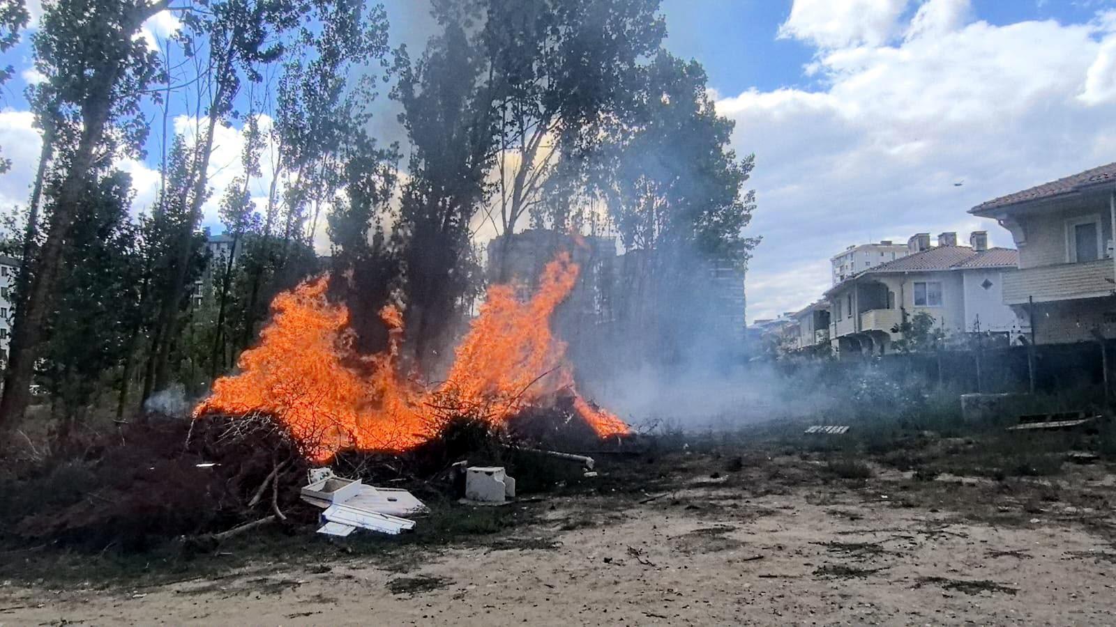 Çorlu’da çam ağaçları yangında zarar gördü Çorlu’da çam ağaçları yangında zarar gördü