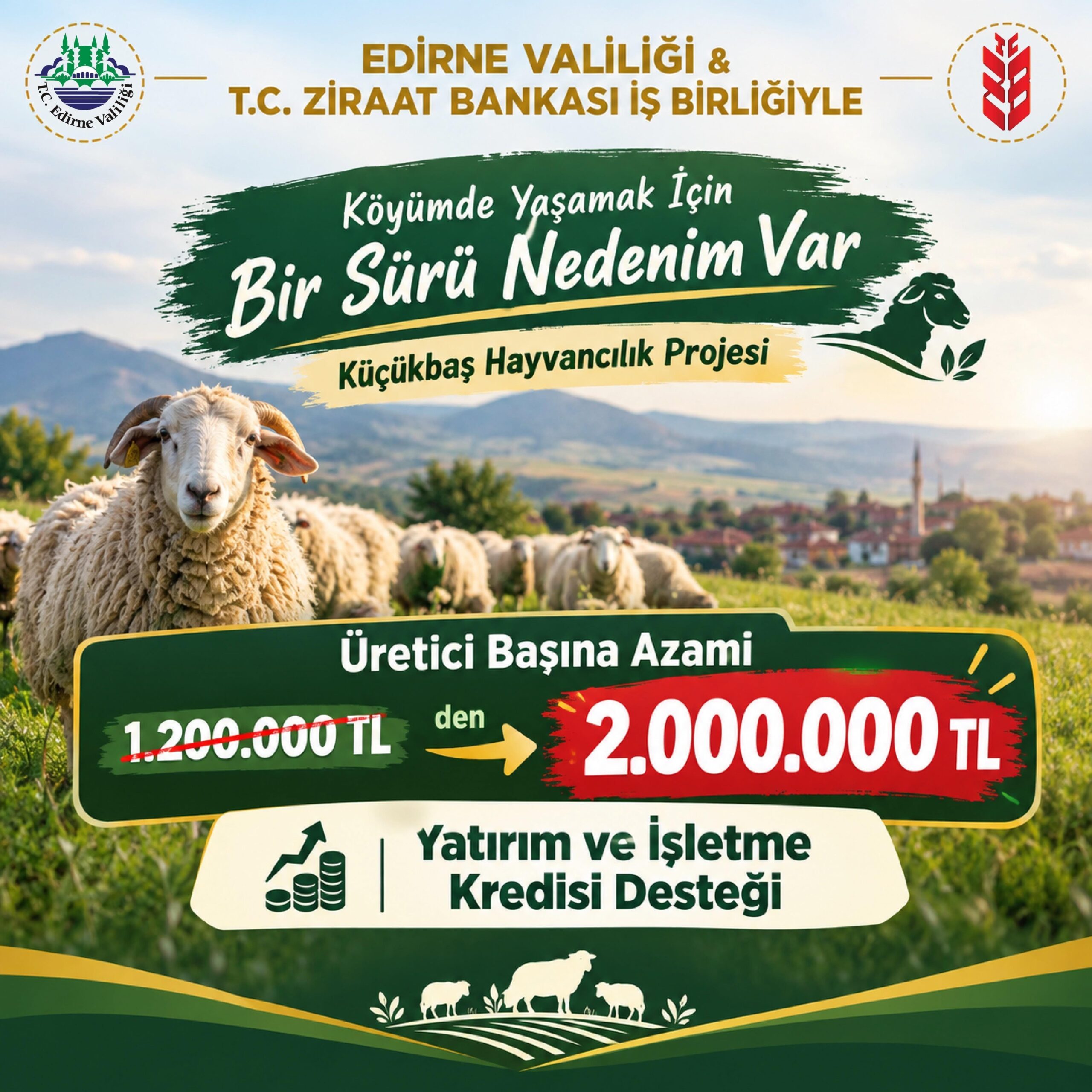 Edirne’de küçükbaş hayvancılıkta kredi limiti 2 milyon liraya yükseltildi Edirne’de küçükbaş hayvancılıkta kredi limiti 2 milyon liraya yükseltildi